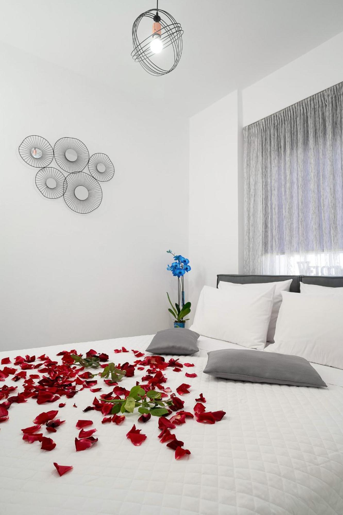 Appartement Amersa Luxury *
