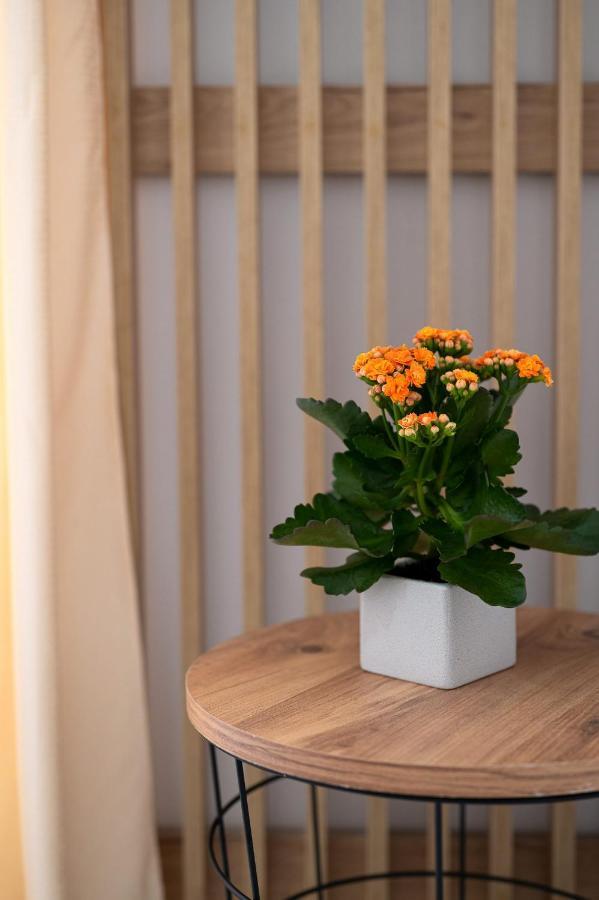 Amersa Luxury Apartment Heraklion (Crete)